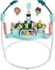 Fisher Price Colorful Corners Jumperoo
