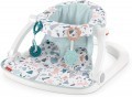 Fisher Price Sit Me Up Floor Seat (Pacific Pebble)